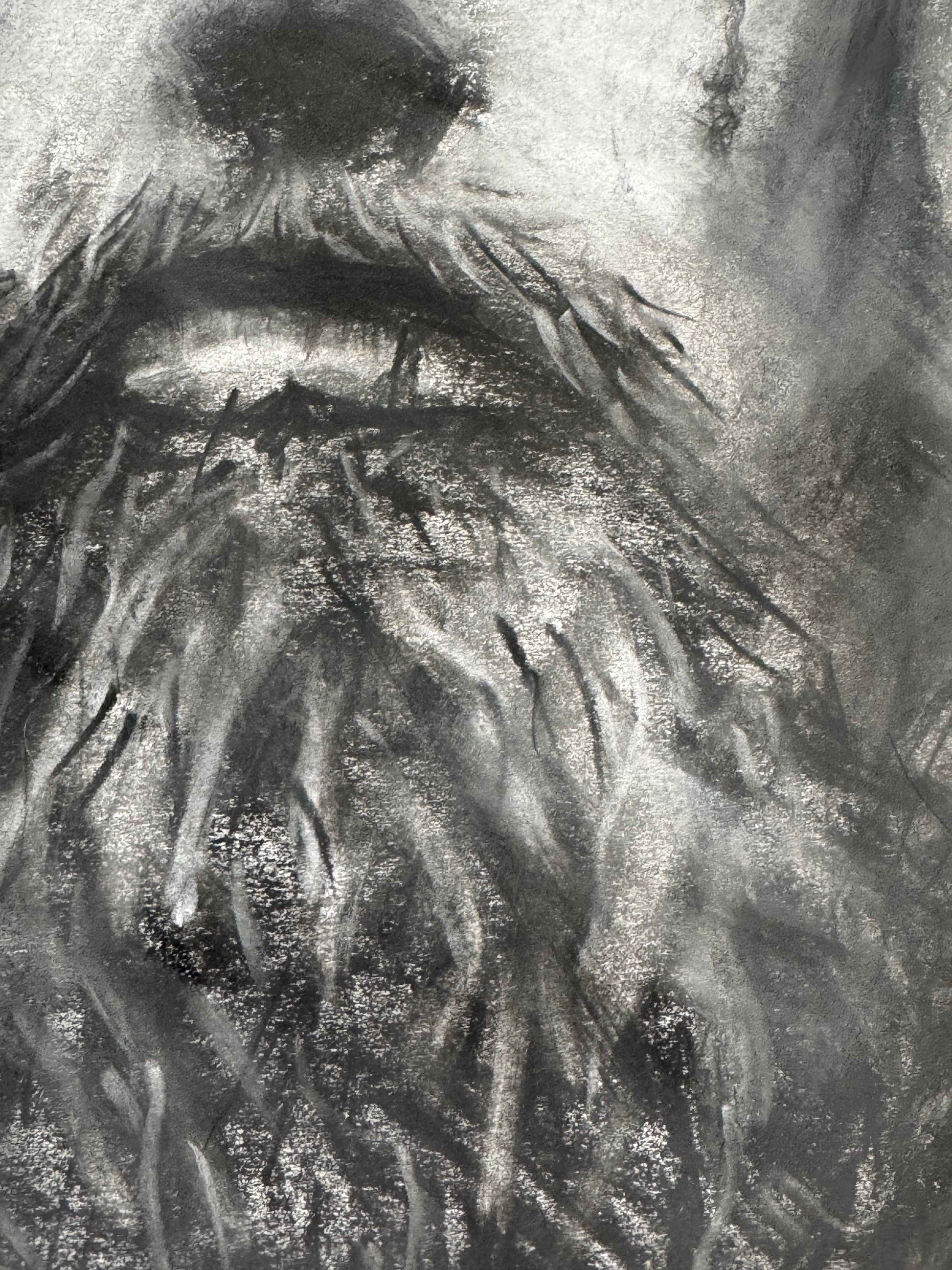 The Passion - Original Charcoal Drawing for Sale_4
