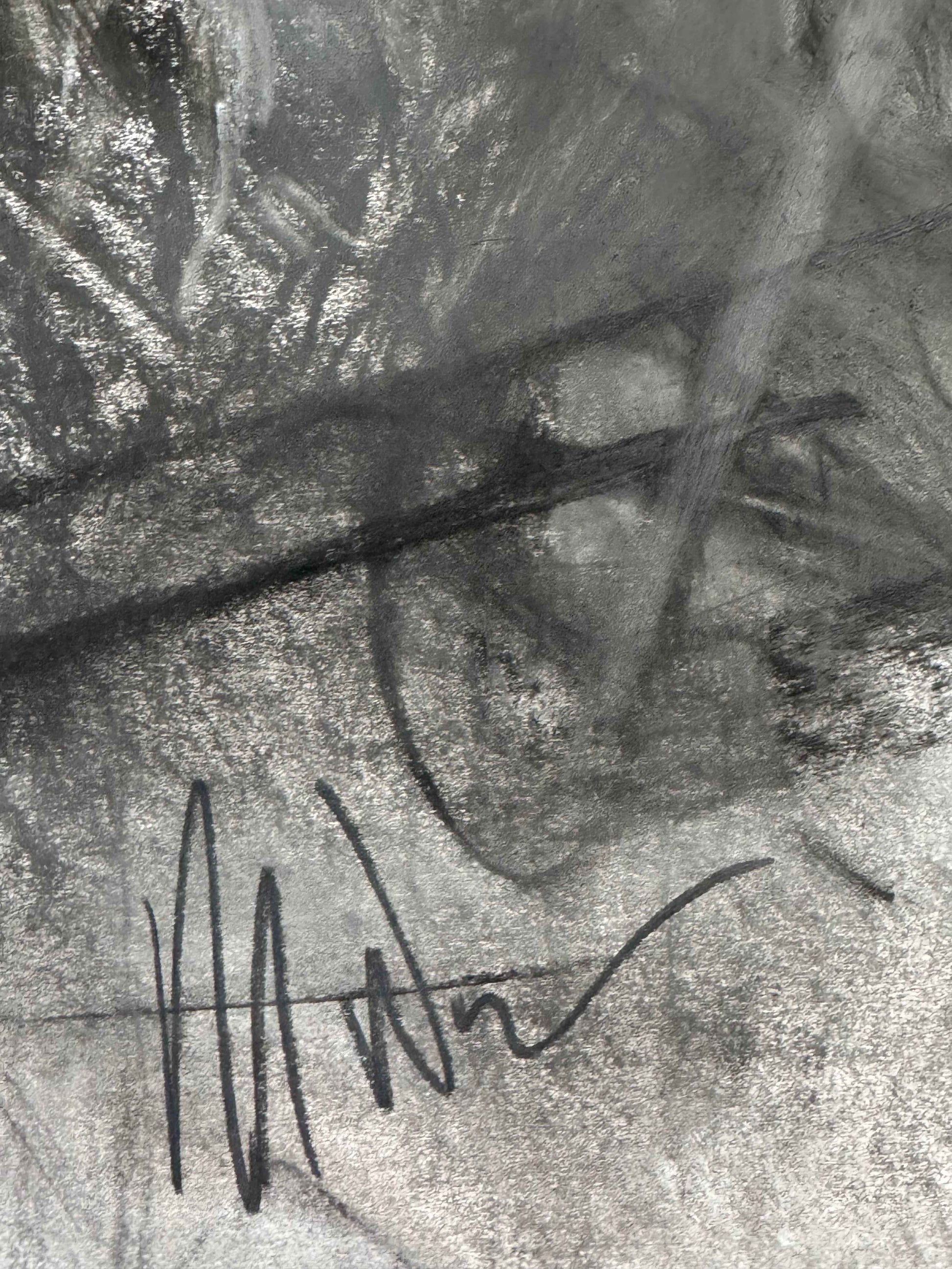 The Passion - Original Charcoal Drawing for Sale_9
